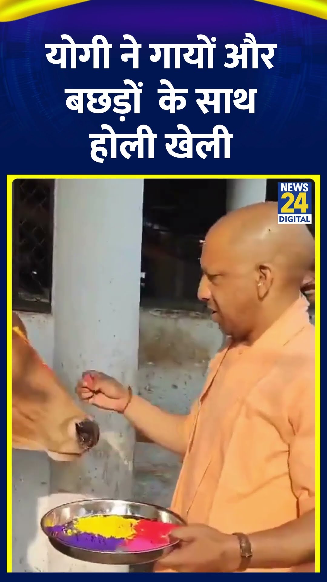गोरखपुर में CM Yogi Adityanath ने गोरखनाथ मंदिर में गायों और बछड़ों  के साथ होली खेली। देखिए वीडियो