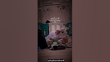 ووصينا الإنسان بوالديه إحسانا_سورة الأحقاف_تلاوة عذبة بصوت الشيخ د. ماهر المعيقلي