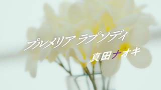 真田ナオキ「プルメリア ラプソディ」予告編（2026.7.11 20:00MVプレミア公開！）