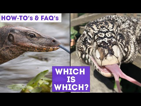 FAQ | What