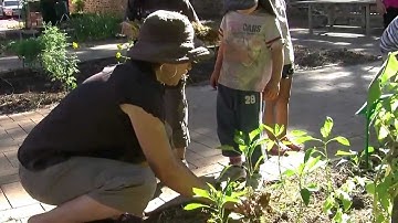 Connecting with Practice Series NQS PLP - Working in a community garden