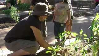 Connecting with Practice Series NQS PLP - Working in a community garden