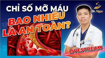 Chỉ Số Mỡ Máu Bao Nhiêu Là An Toàn| Dr Ngọc