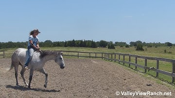 Peptos Miss - bareback working the flag! - ValleyViewRanch.net