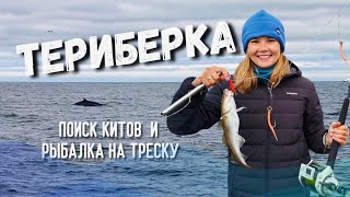 МОРЕ, КИТЫ И МЫ | Рыбалка в Баренцевом море | Прогулка в Териберке | Дегустация морских деликатесов