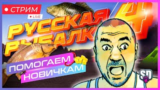 Русская Рыбалка 4 *😝Помощь, Крафтим приманки, Прикорм, Наживка! Для новичков!😝*