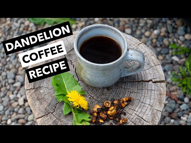 How to Make Dandelion Root Coffee from Scratch | Wild Edibles with Sergei Boutenko cover