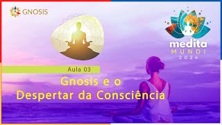 Aula 3 - TÉCNICA E PASSOS DA MEDITAÇÃO (SAMADHI) - Medita Mundi 2024