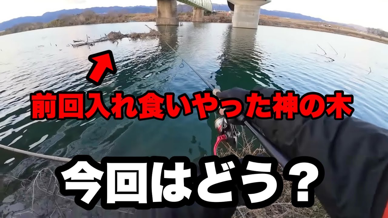 この前入れ食いだった【バスのなる木】を再び狙いに行ってきました