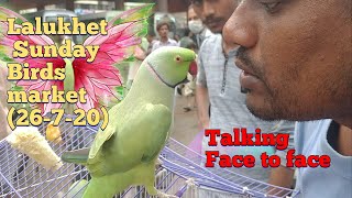 Lalukhet bird market (26-7-2020)