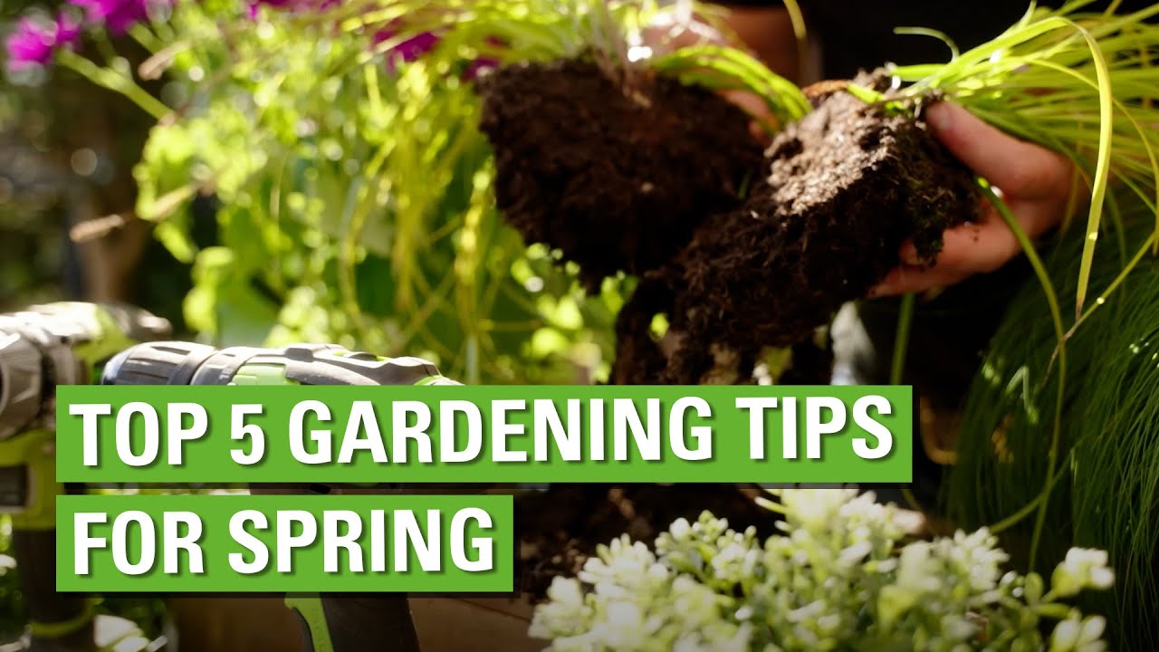 Top 5 Gardening Tips for Spring - YouTube