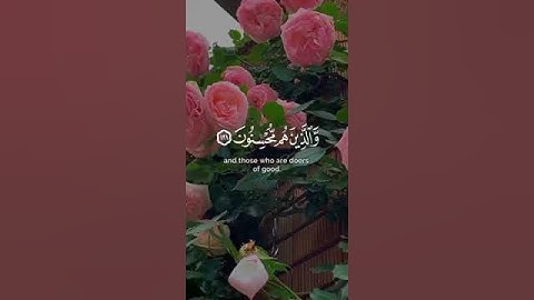 تلاوة هادئة تريح الأعصاب 😴🎧 | القارئ : إسلام صبحي - سورة : النحل 🤍🌥️."