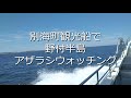 北海道・別海町観光船で「野付半島 野付湾アザラシウォッチング」