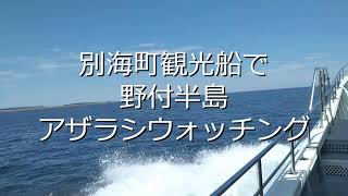 北海道・別海町観光船で「野付半島 野付湾アザラシウォッチング」
