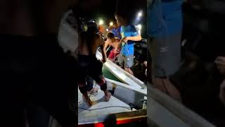 Download Lagu penangkapan buaya dipulau jaloh MP3