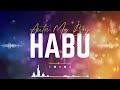 Auta Mg Boy Habu Sarkin Shanu Official Music 2025