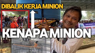 BURUNG UNIK❗️UMI KASUM TEGANG MURAIBATU MINION JUARA 3 DISMMfeatGMI GAGAL BAWA MOBIL||KICAUMANIA