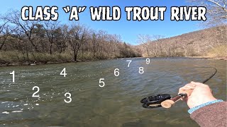 How Many WILD TROUT Can ONE RUN Hold? - Euro Nymphing CENTRAL PA [Fly Fishing]
