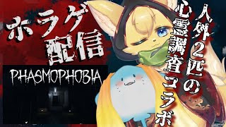 【スプラ３参加型】ジャイロと和解したい猫のナワバリ参加型配信 #43【#vtuber 】#スプラトゥーン3