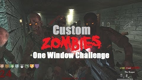 The Hardest Map Of All Time!! (Custom Zombies: One Window Challenge)