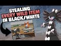 HOW EASILY CAN YOU STEAL EVERY WILD HOLD ITEM IN POKEMON BLACK/WHITE?