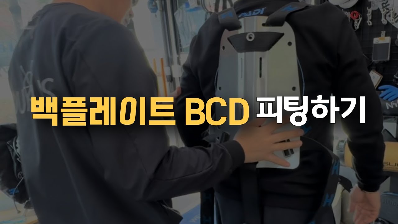 [스쿠버다이빙 장비]백플레이트 BCD 셀프 피팅🧑‍🔧백마운트 bc 세팅🛠️헬시온