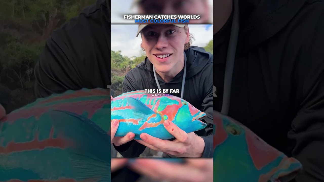 Fisherman Catches Worlds MOST Colorful Fish