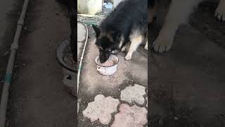 для помощи 2200701965467696 т банк Руслан ш