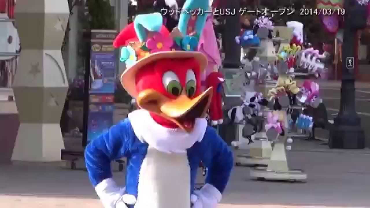 ウッドペッカーとusjゲートオープン 2014 03 19 08 19 Youtube