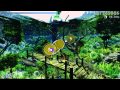 osu  School Food Punishment   in bloom プレイしてみた