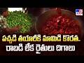 Mango Shortage in Jangaon: పచ్చడి తయారీకి మామిడి కొరత.. రాబడి లేక రైతులు దిగాలు - TV9