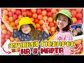 Опять переезжаем!!?? Сюрприз на 8 марта/ Анютка малютка