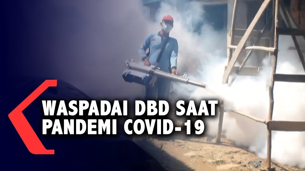 Waspadai DBD Saat Pandemi Covid-19