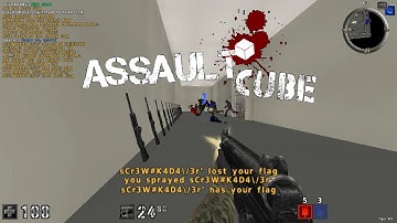 Assault Cube #14