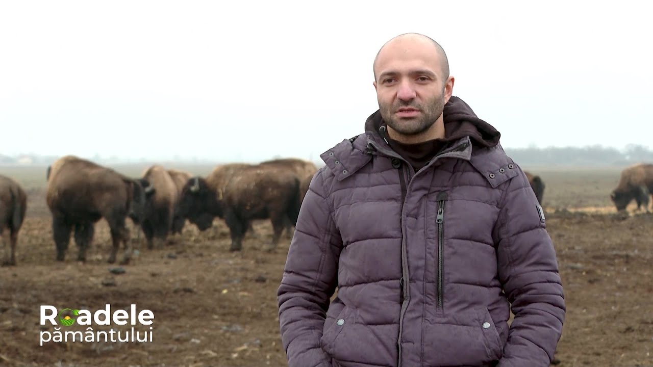 Producția de flori, fermă de bizoni din Vrancea, cactuși 