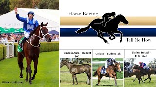 Celebrity Week 2   Understanding Pedigrees Profile
