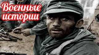Восточный фронт глазами немцев  вспоминание немецких солдат о Сталинграде
