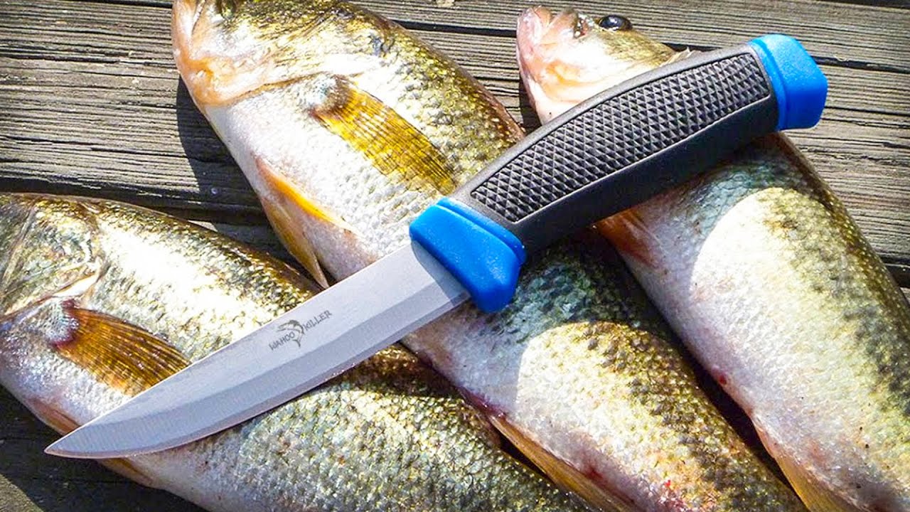 Best Fish Fillet Knives - In-Fisherman
