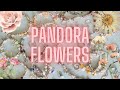 All the 🌸 FLOWERS 🌸 in my PANDORA COLLECTION