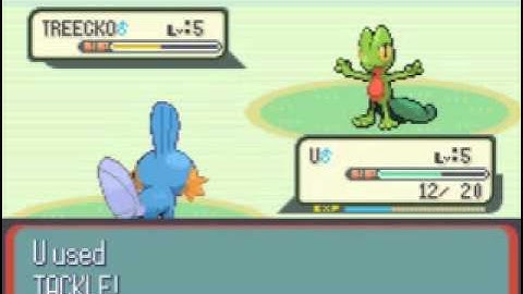 Pokémon Ruby Improved Speed Run Segment 3