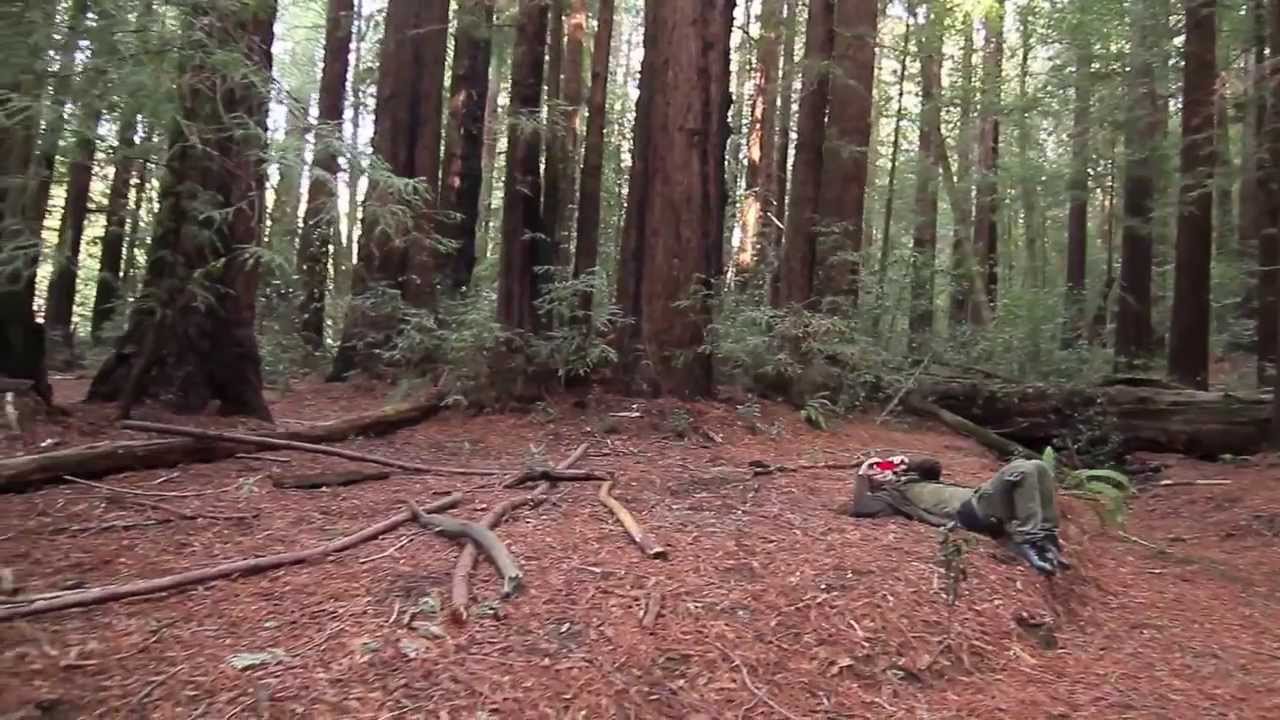 MCAUSA MARK ARNOLD The making of Kelly Slater Video.........