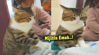 Lucu & Menggemaskan.!🤣 Ketika Kucing & 2 Anak Kecil Mijitin Emak Tapi Nggak Ikhlas by Jaya Edutainment 15,249 views 6 months ago 3 minutes, 32 seconds