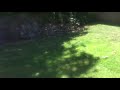 Not my first and last video