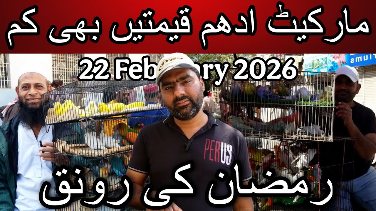 Lalukhet birds market part 1 22 February 2026 | Cheapest price birds market in Karachi Pakistan