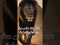 උප්පත්තියෙන් අන්ධ එකාට ආලෝකයක්🤯