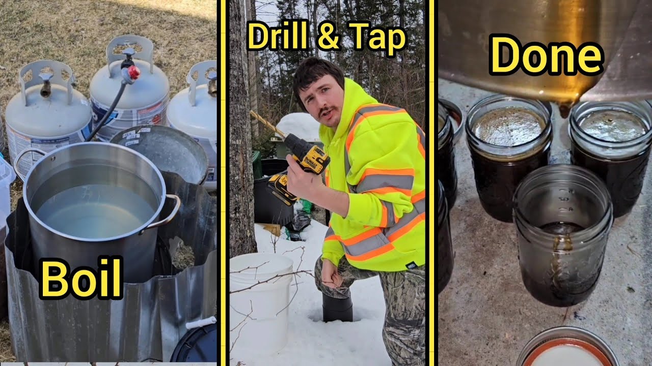 Method Inset Maple Syrup Start To Finish Maple Syrup. The Good, Bad, Easy, And Hard Steps - YouTube