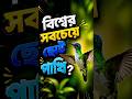 অবিশ্বাস্য হামিংবার্ড 🐦 | বিশ্বের সবচেয়ে দ্রুত ডানা ঝাপটানো পাখি! | Hummingbird Facts Bangla