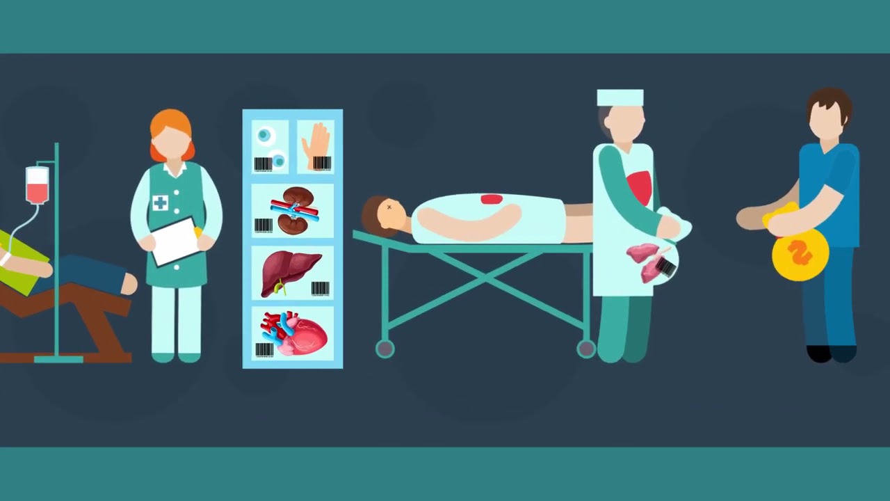 Portal Juridico y Financiero del Caribe