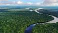 The Hidden Wonders of the Amazon Rainforest ile ilgili video