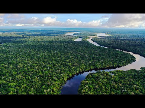 ایمیزون کے راز: زمین کا سب سے طاقتور دریا | ٹریکس